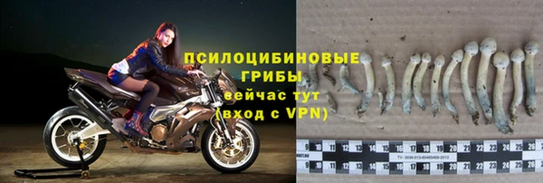 apvp Липки