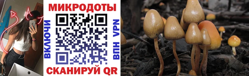 Галлюциногенные грибы GOLDEN TEACHER  дарк нет телеграм  Уварово 
