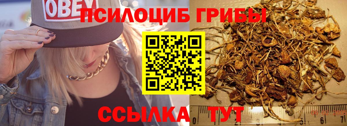 Псилоцибиновые грибы ЛСД Уварово