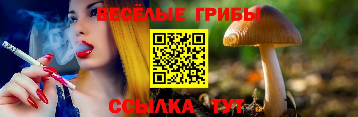 Псилоцибиновые грибы MAGIC MUSHROOMS  Уварово  Псилоцибиновые грибы Psilocybe 